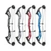 Hoyt Altus 38 Compound Bows